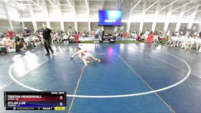 88 lbs 2nd Wrestleback (8 Team) - Tristan Mendenhall, Idaho vs Dylan Luik, Virginia