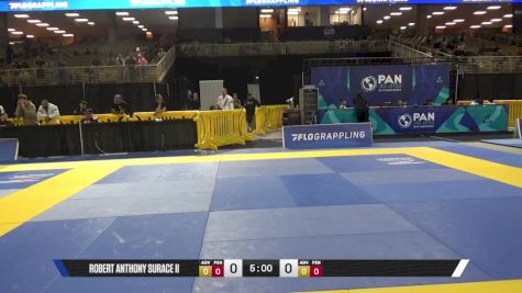 Steven Richard Hines vs Sardorzhan Sharipov 2025 Pan Jiu Jitsu IBJJF Championship