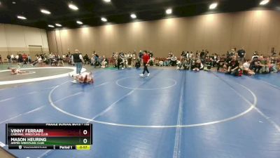 110 lbs Quarterfinal - Vinny Ferrari, Cardinal Wrestling Club vs Mason Heuring, Amped Wrestling Club