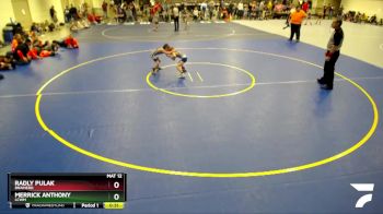 55 lbs 1st Place Match - Radly Pulak, Brainerd vs Merrick Anthony, LCWM