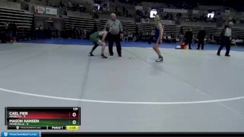 125 lbs Finals (8 Team) - Mason Hansen, Paynesville vs Cael Fier, Minneota