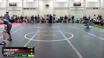 113 lbs Round 6 (10 Team) - Ethan Valdisera, Team Diamond Fish vs Landyn Lioi, 84 Athletes