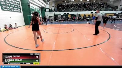 95 lbs Cons. Round 3 - Lyliana Castro, East Valley vs Emmeline Crisler, Heritage