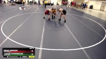 285 Championship Bracket Champ. Round 3 - Carson Schoenbauer, Scott West vs Brady Gregory, New Prague