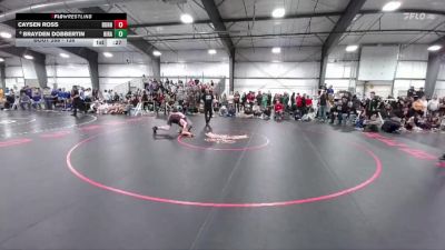 138 lbs 5th Place Match - Brayden Dobbertin, Highlands Ranch vs Caysen Ross, Burns/Pine Bluffs