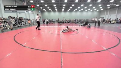 85 lbs Rr Rnd 1 - Charlie Blake, Region Wrestling Academy - EL vs Dexx Daman, TDWC Minions Grey - EL