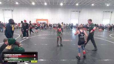 75 lbs Cons. Round 1 - Cali Anderson, Summerville Takedown Club vs Cannon McGinnes, Cobra Wrestling Club