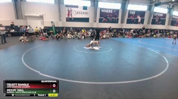 55 lbs Quarterfinal - Truett Randle, Apex Grappling Academy vs McCoy Hall, Randall Youth Wrestling Club