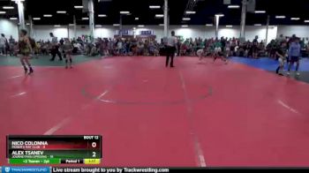 60 lbs Round 3 (8 Team) - Nico Colonna, Moser`s Mat Club vs Alex Tsanev, Journeyman Uprising