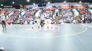 132 lbs Quarterfinals (8 Team) - Carson Blum, Lowell vs Murphy Lengkeek, Fruitport