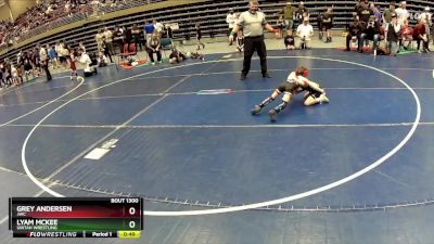 44 lbs Semifinal - Grey Andersen, JWC vs Lyam McKee, Uintah Wrestling