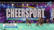 Wake Forest All Stars - Wonder Wolves [2024 CheerABILITIES - Novice Day 1] 2024 CHEERSPORT Charlotte Classic
