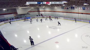 Replay: Home - 2024 PCHA Blue vs Yale | Jan 19 @ 3 PM