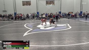 141 lbs Cons. Round 3 - Aidyn Tate, Roanoke College vs Eli Bounds, Shippensburg