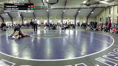 125 lbs Semifinal - Caden Mellott, Ohio Northern Univerity vs Logan Sallot, Gannon University