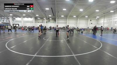 111 lbs Semifinal - Jamison Dohaney, Smitty's Wrestling Barn vs Lincoln Valois, Somerset