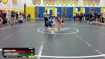 113 lbs Quarterfinals (8 Team) - Tristan Horn, Harmony vs Cameron Gibson, Wellington Community Hs