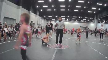 48 lbs Round 7 (8 Team) - Lincoln Rich, Backyard Brawlers Gold vs Stevie Strickland, GA United Red