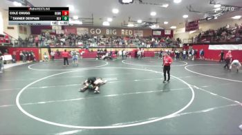 138 lbs Champ. Round 2 - Cole Chugg, Rocky Mountain vs Tanner Despain, Blackfoot