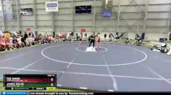 132 lbs Round 2 (8 Team) - Tee Ward, Team Michigan Red vs James Salas, Minnesota Red