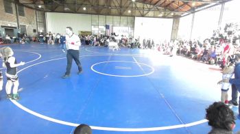 46 lbs Semifinal - Quinn Horne, Springdale Youth Wrestling Club vs Bayleigh Brownell, Salina Wrestling Club