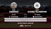Roger Dominguez vs Camilo Alviarez Villamediana 2025 ADCC South American Championship