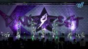 Almost Famous Dance Gym & Cheer - Youth Small All Star Hip Hop [2025 Youth - Hip Hop - Small Day 2] 2025 DanceFest Grand Nationals