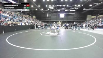 132 lbs Champ. Round 1 - Luke Potter, Andover vs Braden Cannally, Spring Hill HS