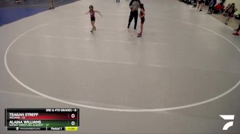 Semifinal - Teagan Streff, Willmar vs Alaina Williams, Summit Wrestling Academy