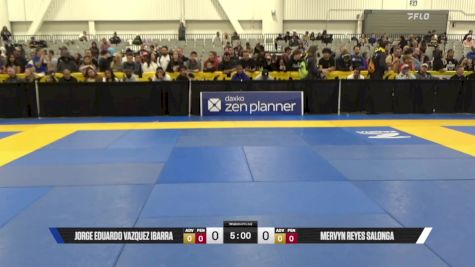 Mervyn Reyes Salonga vs Jorge Eduardo Vazquez Ibarra 2025 World IBJJF Jiu-Jitsu No-Gi Championship