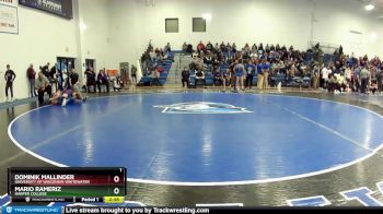 133 lbs Champ. Round 2 - Mario Rameriz, Harper College vs Dominik Mallinder, University Of Wisconsin-Whitewater