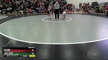 65 lbs Champ. Round 2 - Ty Cox, Brawlers vs Colt Gass, Moen Wrestling Academy