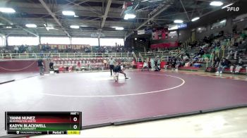 132 lbs Semifinal - Yanni Nunez, Bloomington North vs Kadyn Blackwell, Franklin Community