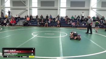 75 lbs Round 2 (6 Team) - Jimmy Hurley, Akron St. Vincent St. Mary vs Dominic Pizzuli, Columbia Station