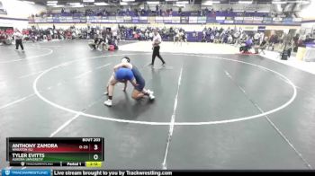 133 lbs Cons. Round 4 - Tyler Evitts, Aurora Universtiy vs Anthony Zamora, Wheaton (IL)