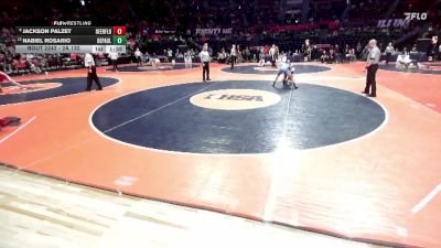 2A 132 lbs Cons. Round 2 - Jackson Palzet, Deerfield (H.S.) vs Nabiel Rosario, Chicago (DePaul College Prep)