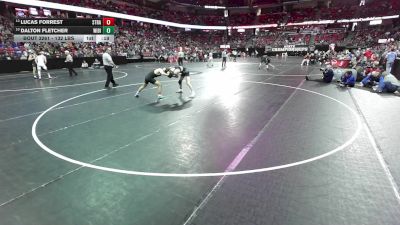 132 lbs Cons. Semis - Dalton Fletcher, Wittenberg-Birnamwood vs Lucas Forrest, Stratford