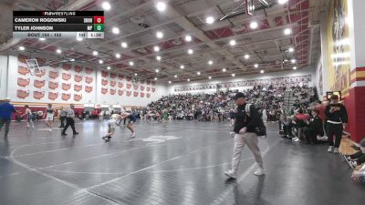150 lbs Champ. Round 2 - Tyler Johnson, Massillon Perry vs Cameron Rogowski, Streetsboro