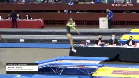 Ansley  Brown  - Double Mini Trampoline, Millers Gymnastics Academy Odessa  - 2021 Region 3 T&T Championships