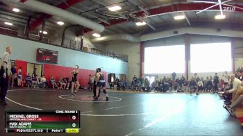 113 lbs Semis & Wb (16 Team) - Michael Gross, Switzerland County vs Max Adams, South Adams