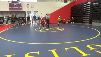 110 lbs Champ. Round 1 - Neyva Alberhasky, Louisa-Muscatine vs Macyn Lampe, Fort Madison