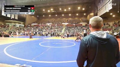 70 lbs Quarterfinal - Adiline Shepperd, Team Conquer Wrestling vs Buck Buchanan, Bentonville Wrestling Club