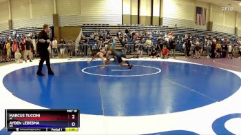 125 lbs Quarterfinal - Marcus Tuccini, MI vs Ayden Ledesma, OH