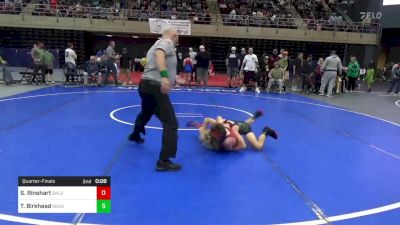 80 lbs Quarterfinal - Sebastian Rinehart, Baldwin vs Taycen Birkhead, Reading