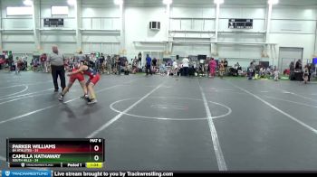 110 lbs Round 2 (8 Team) - Parker Williams, 84 Athletes vs Camilla Hathaway, South Hills