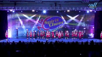 Port City Athletics - Pharaohs [2024 L4 Senior Coed - D2 - Medium Day 2] 2024 Spirit Cheer Super Nationals