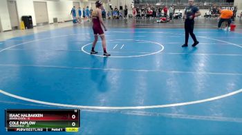 135 lbs Semis (4 Team) - Isaac Halbakken, Dover-Eyota vs Cole Paplow, Springfield
