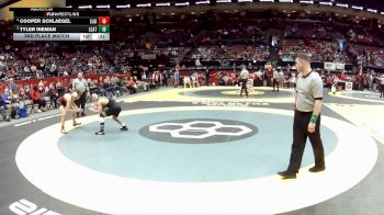 D3-126 lbs 3rd Place Match - Cooper Schlaegel, Elgin vs Tyler Ineman, Lake Cath.