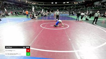 65 lbs 3rd Place - Domenic Irving, Buena Braves vs Brock Strahlendorff, Westfield