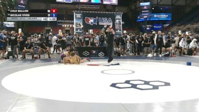 138 lbs Cons. Rd Of 64 - Cole Mallon, Massachusetts vs Nicolas Vives, Connecticut
